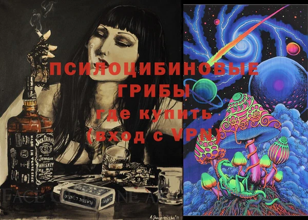 альфа пвп Каменногорск