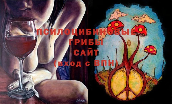 альфа пвп Каменногорск