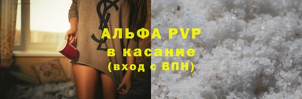PSILOCYBIN Каменка