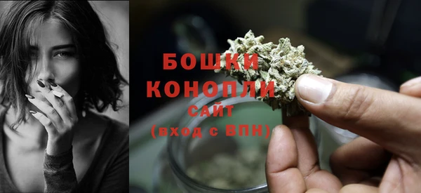 альфа пвп Каменногорск