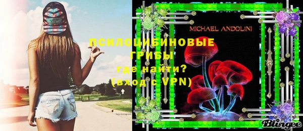 PSILOCYBIN Каменка