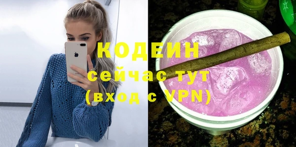 PSILOCYBIN Каменка