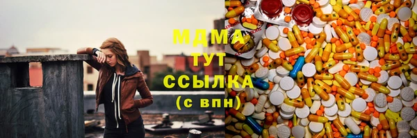 PSILOCYBIN Каменка