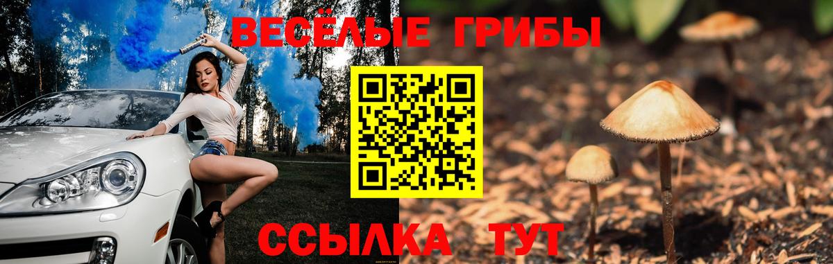 Псилоцибиновые грибы Psilocybine cubensis  Вход с VPN  наркота  Клин 