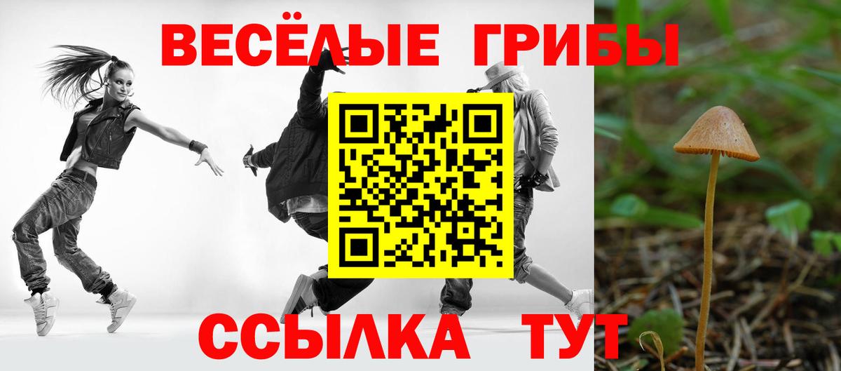 Псилоцибиновые грибы MAGIC MUSHROOMS  Клин  наркота  Галлюциногенные грибы Psilocybine cubensis 