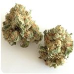 Шишки "White Widow"  (Белая вдова)  Гидропоника -  Бошка VHQ в Клине